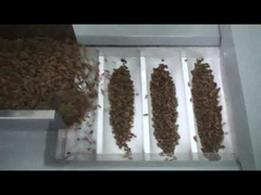 A máquina de embalagem da passa do preço de fábrica, máquina de embalagem das porcas, secou a máquina de embalagem vermelha das datas