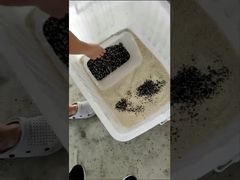 Assista: Apresentação da Máquina de Classificação de Cores LC-M4H para Grãos e Minerais com CCD