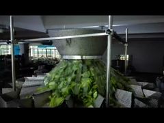 Veja Por Que Escolher a Máquina de Embalagem de Sacos Pré-Fabricados de Sementes de Abóbora, Máquina de Pesagem e Embalagem de Sacos com Zíper