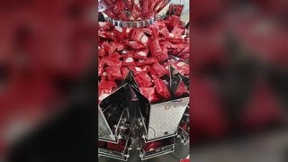 Máquina automática de embalagem de bolsas pré-fabricadas rotativas Bag-in-Bag